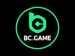 Exploring the BC.Game App for Players