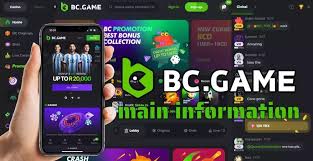 Unlocking the Benefits Comprehensive BC.Game Bonus Code Details